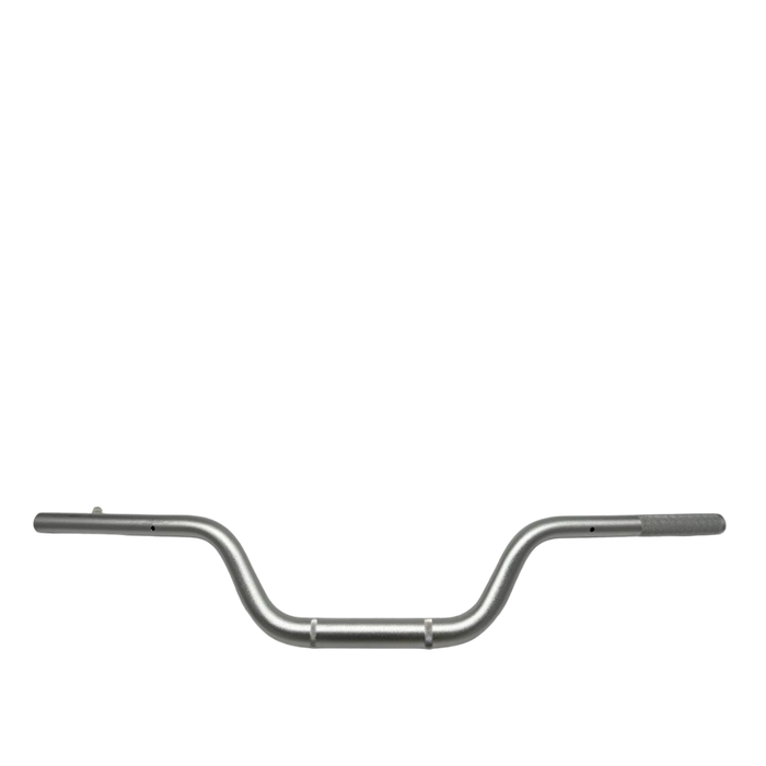 CR6 | GUIDON - SteedyTrott.com
