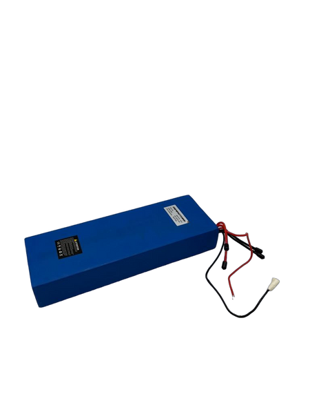 DUALTRON EAGLE PRO | BATTERIE LG 60V 22,4Ah - SteedyTrott.com