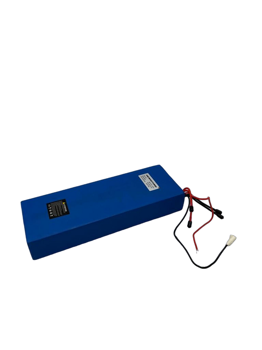 DUALTRON EAGLE PRO | BATTERIE LG 60V 22,4Ah - SteedyTrott.com