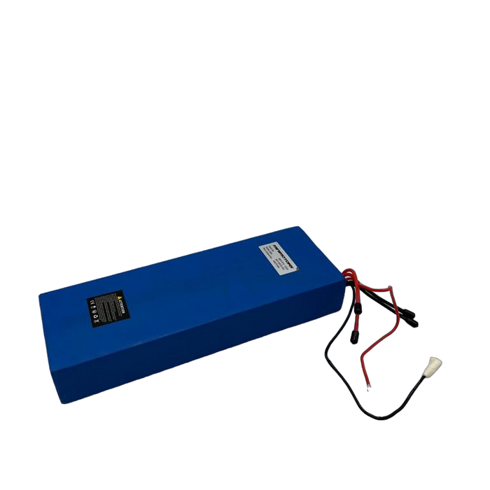 DUALTRON EAGLE PRO | BATTERIE LG 60V 22,4Ah - SteedyTrott.com