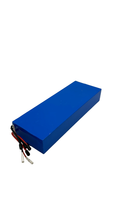 DUALTRON FOREVER | BATTERIE 60V18Ah - SteedyTrott.com