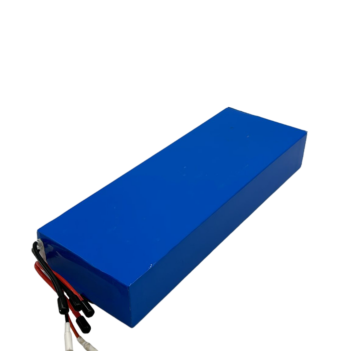 DUALTRON FOREVER | BATTERIE 60V18Ah - SteedyTrott.com