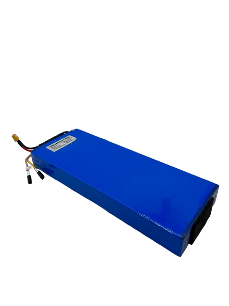 DUALTRON MINI | BATTERIE 52V13Ah RECONDITIONNEE - SteedyTrott.com