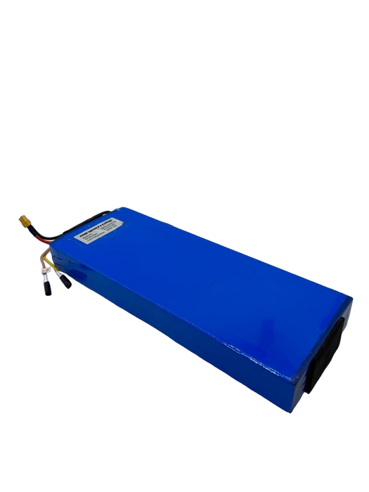 DUALTRON MINI | BATTERIE 52V13Ah RECONDITIONNEE - SteedyTrott.com