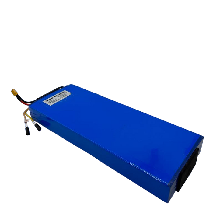 DUALTRON MINI | BATTERIE 52V13Ah RECONDITIONNEE - SteedyTrott.com