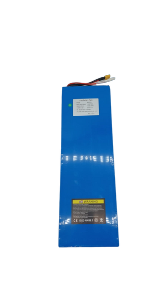 DUALTRON MINI | BATTERIE 52V21AH RECONDITIONNEE - SteedyTrott.com