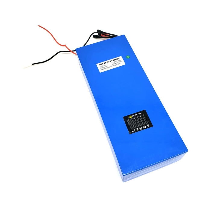 DUALTRON VICTOR | BATTERIE 60V24AH RECONDITIONNEE - SteedyTrott.com