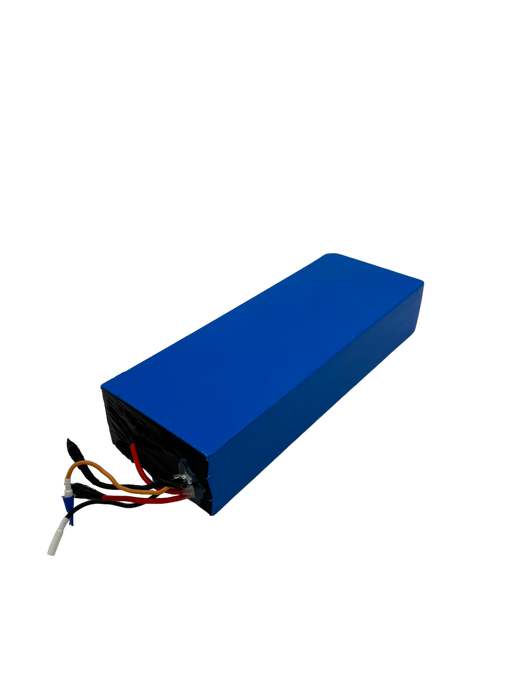 DUALTRON VICTOR LUXURY PLUS | BATTERIE 60V28AH RECONDITIONNEE - SteedyTrott.com