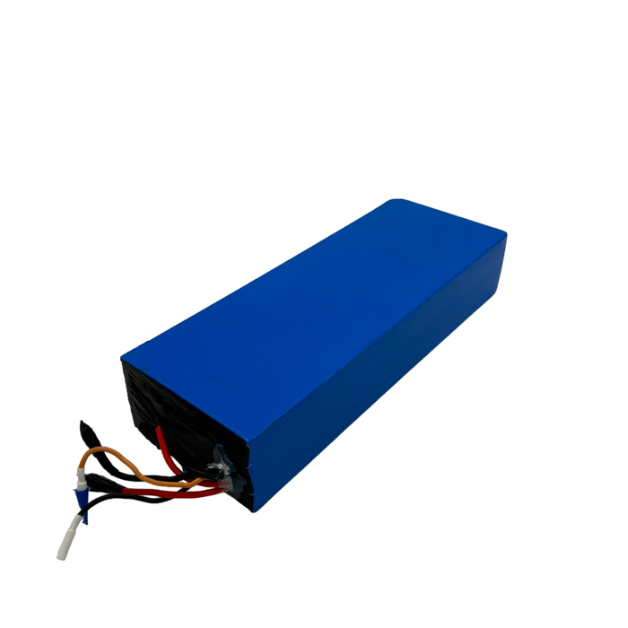 DUALTRON VICTOR LUXURY PLUS | BATTERIE 60V28AH RECONDITIONNEE - SteedyTrott.com