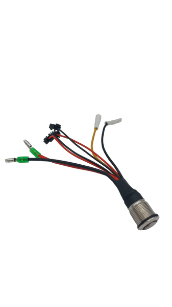 DUALTRON X | BOUTON LED - SteedyTrott.com