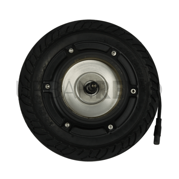 EGRET EIGHT MOTEUR - SteedyTrott.com