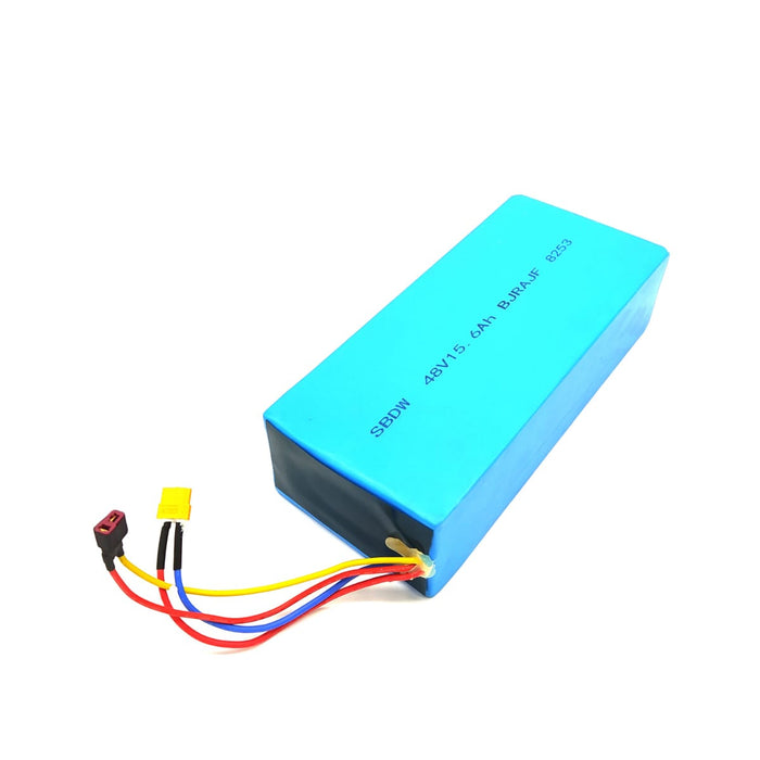 FUTECHER GUN | BATTERIE 48V15,6AH - SteedyTrott.com