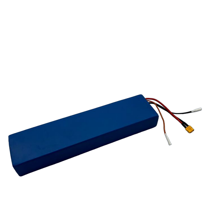 BATTERIE 36V 12AH | DUALTRON TOGO
