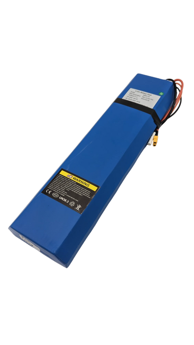 BATTERIE 60V12Ah RECONDITIONNEE | DUALTRON TOGO LTD