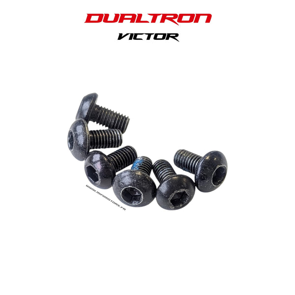 VIS DISQUE DE FREIN (X6) | DUALTRON VICTOR