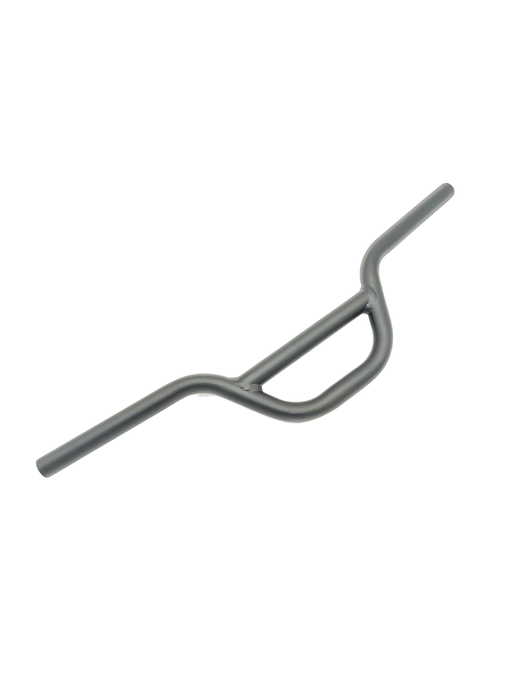 GUIDON | DUALTRON MINI