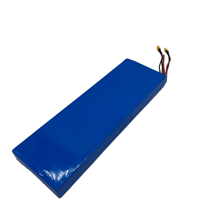 BATTERIE 52V21AH | DUALTRON AMINIA DUAL MOTOR