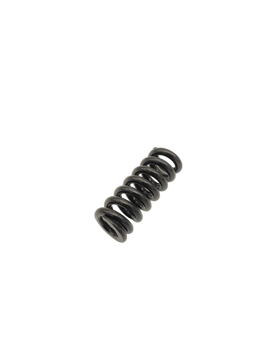 RESSORT SUSPENSION | DUALTRON MINI & AMINIA