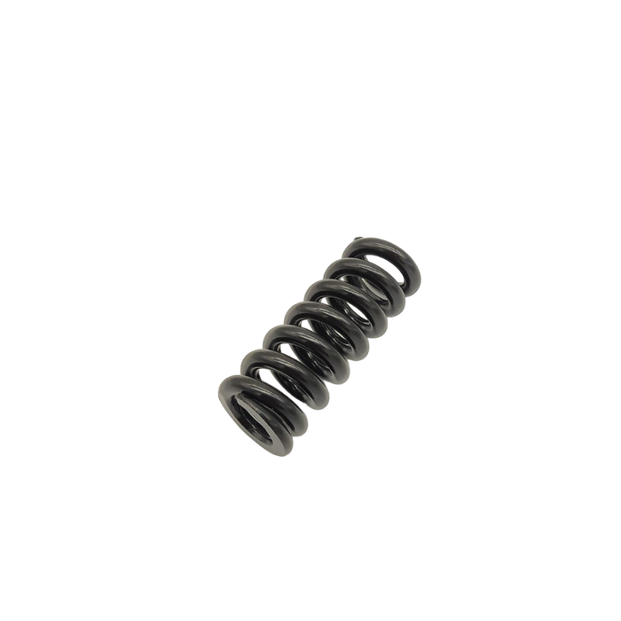 RESSORT SUSPENSION | DUALTRON MINI & AMINIA